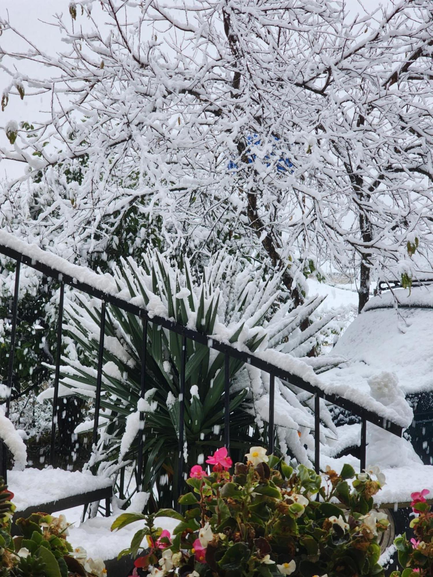 My Home Кутаїсі Екстер'єр фото